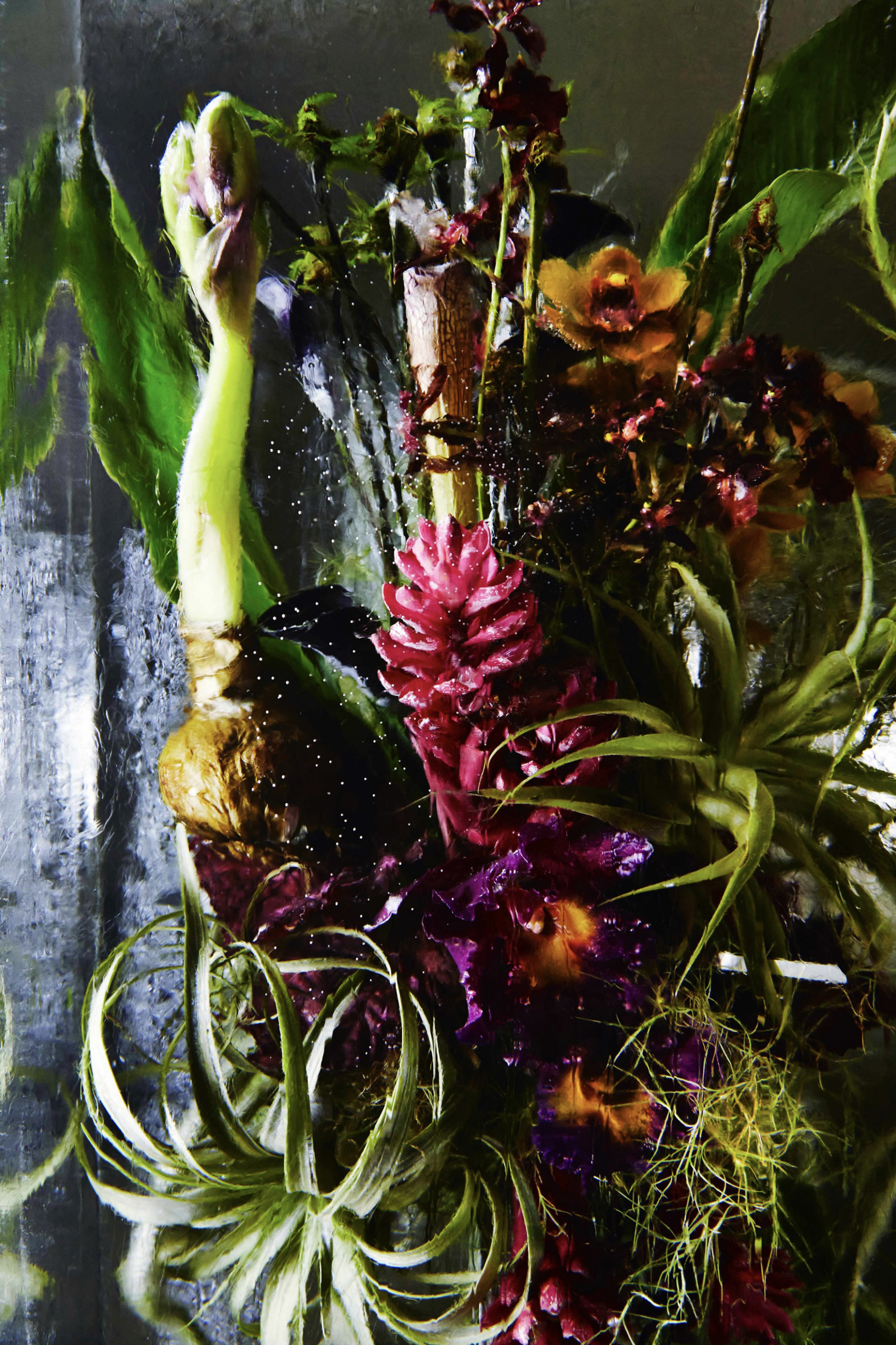 ICED FLOWERS | AMKK（東信, 花樹研究所）